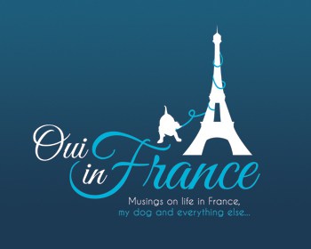oui-in-france-logo