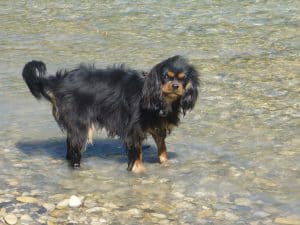 Dagny - Kayak trip Gorges du Verdon