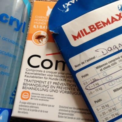 French vet costs and care: A big thumbs up!