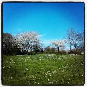 Beautiful spring day instagram