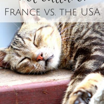 Pet culture in France vs. the USA