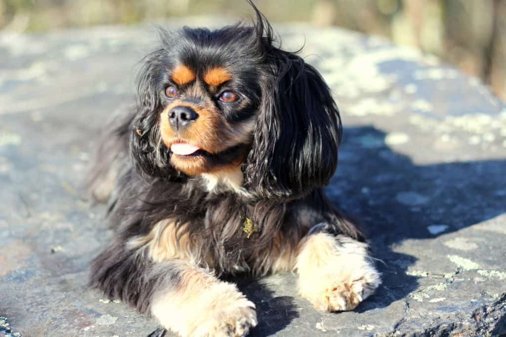 dagny-smiling