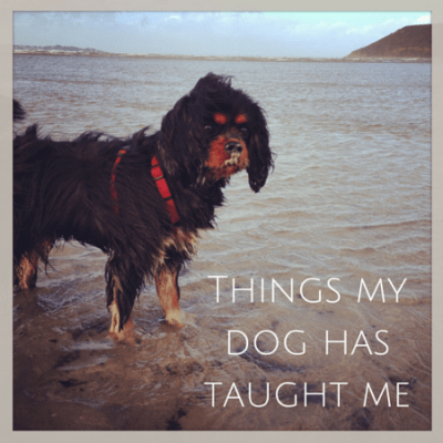 6 Life lessons I learned from my dog Dagny