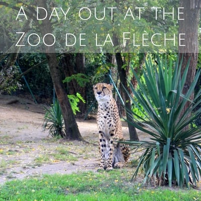 A day out at the Zoo de la Flèche