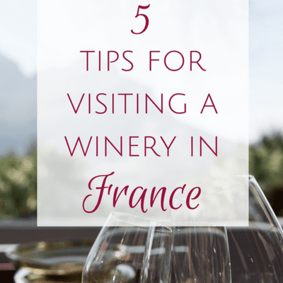 5 Insider tips for making the most out of your French winery visit