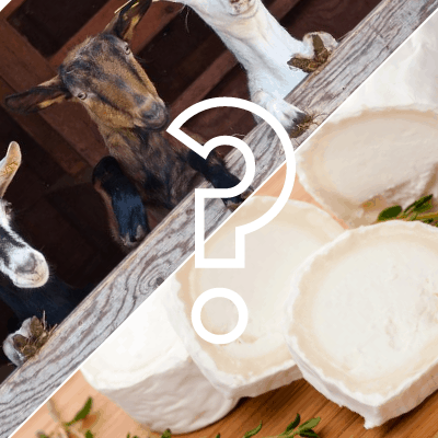 Quick French Lesson: Is chèvre goat cheese or a goat?