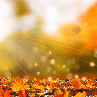 What grief taught me about living (3 years after losing my mom)