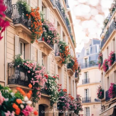 what went wrong moving to france as american expat